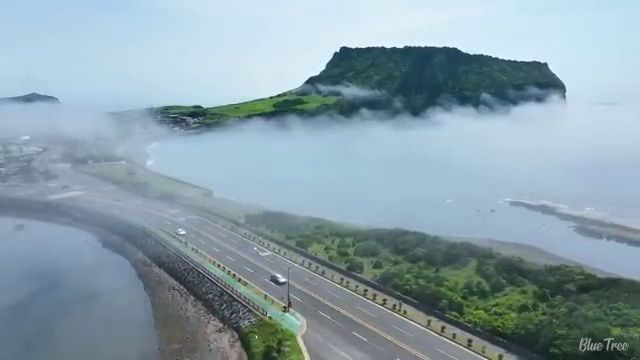  종자 산업기사 종자기사 응시자격 온라인 과정으로 4개월 만에 끝낸 후기