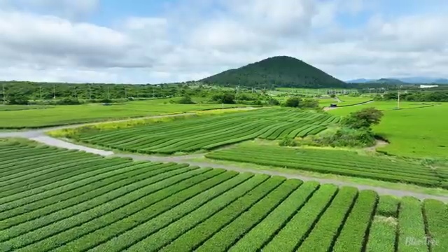  학점은행제학사편입 , 학은제 멘토가 비용절감 시간 단축 노하우 정리
