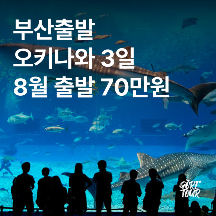  부산출발 ㅣ 오키나와 여행 3일 패키지여행 나하국제거리 츄라우미수족관 만좌모