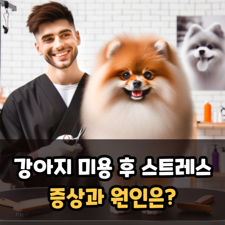  강아지미용후 스트레스 증상 원인은?