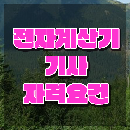  전자계산기기사실기 전자계산기기사 시험자격 온라인 수업으로 15주 동안 끝낸 전략