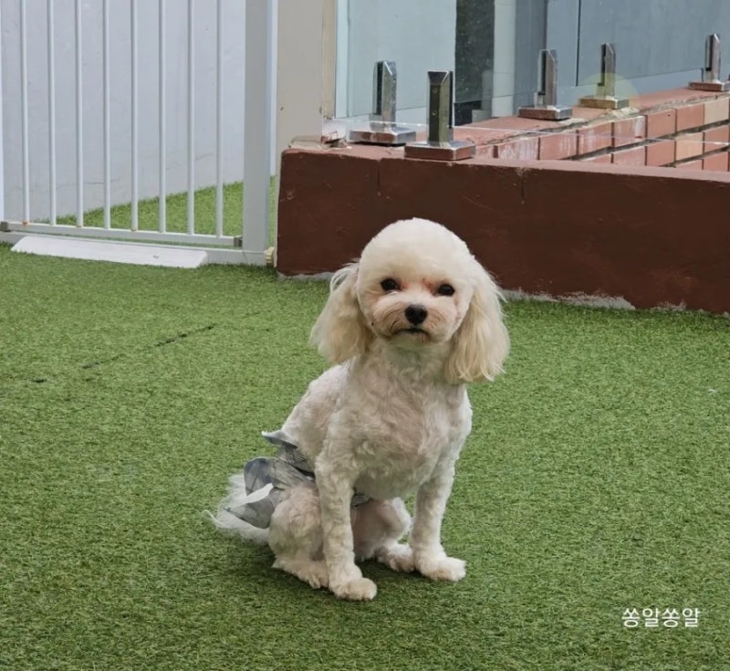 사진 2