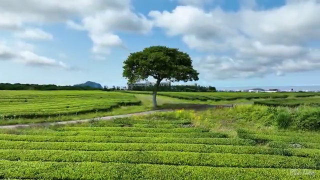  사회복지사실습후기 . 사회복지사 고졸도 학은제 활용하여 빠르게