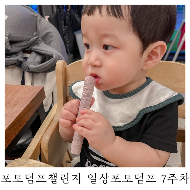  [블챌]포토덤프챌린지 일상포토덤프 7주차