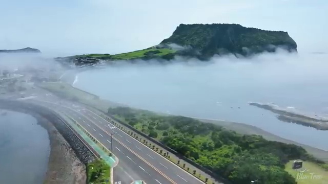  학점은행제학사편입 , 학은제 멘토 덕분에 목표로하던 학사 학위 얻었어요