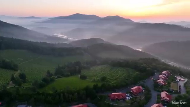 충남 사회복지사학점인정 , 사회복지사2급 조건이 안돼도 온라인 과정으로 빠르게