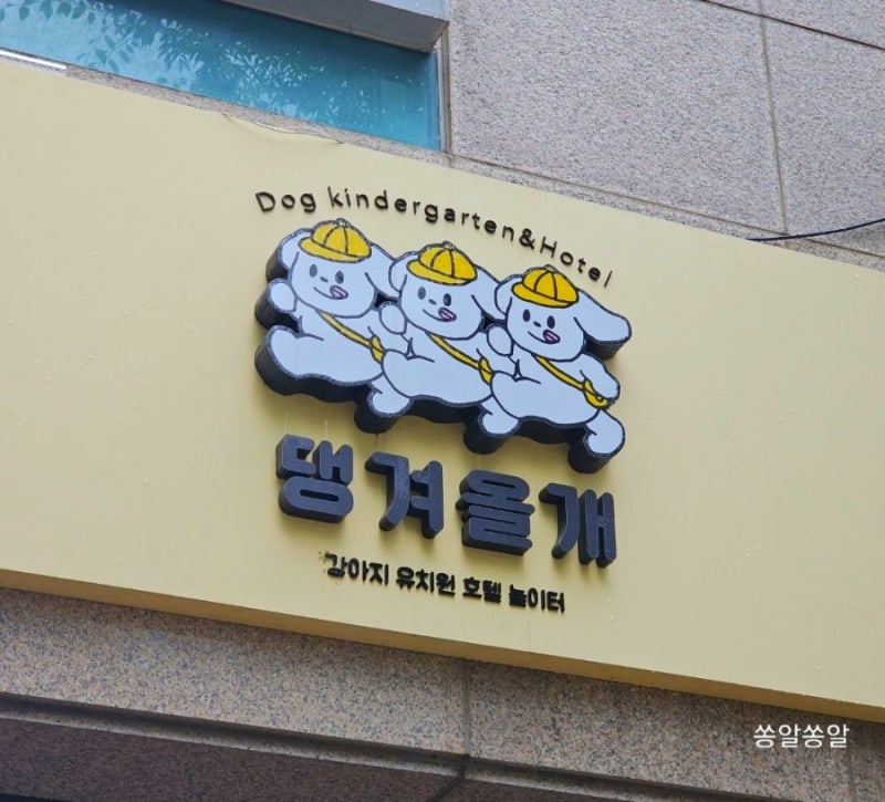 사진 3