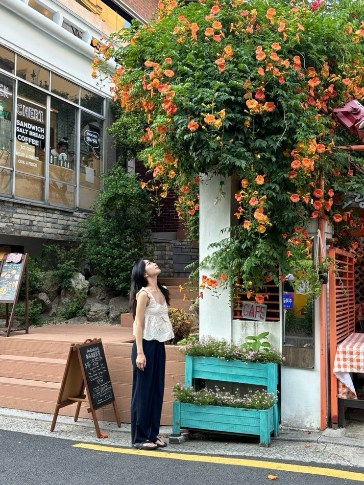 ㄴㅅㅎ의 유래를 아십니까..? 6월의 [포덤챌]