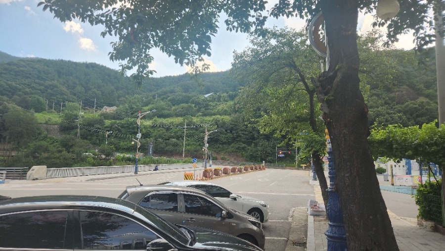 도돈 사진 1