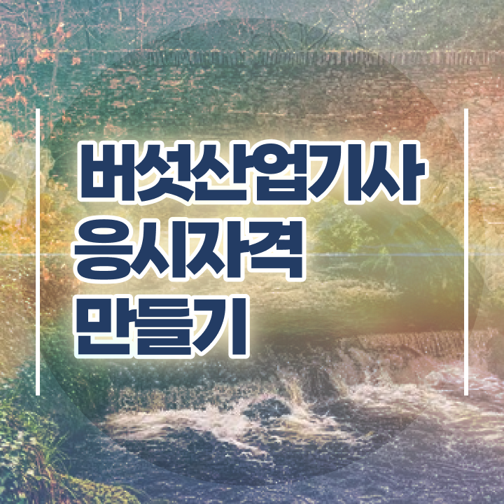  버섯산업기사 시험응시자격 집에서 온라인으로 쉽고 빠르게 완료한 방법
