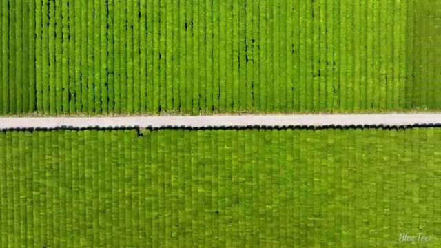  반도체설계산업기사 시험응시자격 독학으로 5개월 만에 완료한 노하우