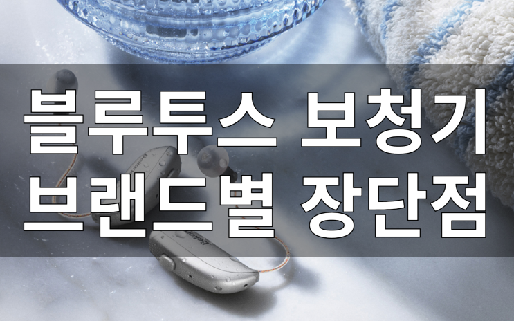  블루투스 보청기 브랜드별 장단점