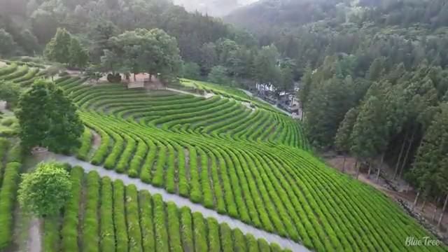  사회복지사2급일정 . 사회복지사 중년 직장인도 온라인 과정으로 수월하게