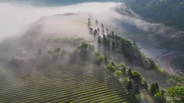  공조냉동기계산업기사 필기 공조냉동기계산업기사 응시조건 인강으로 간편하게 끝낸 팁