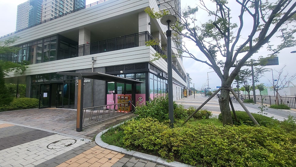 하오밥 사진 3