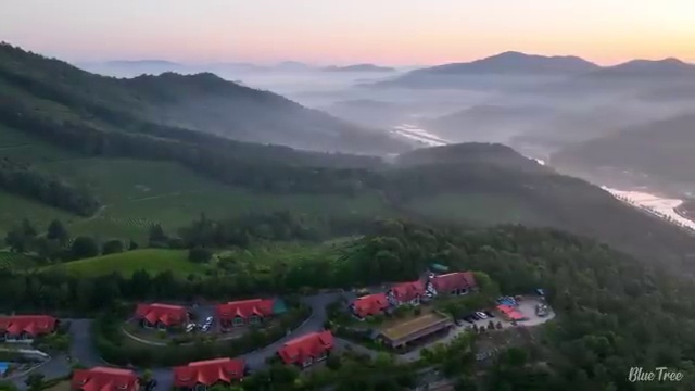  사주 대운 , 명리심리상담사 한달 만에 합격한 후기