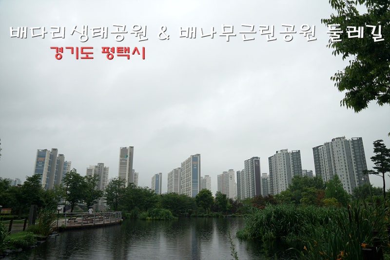 사진 3