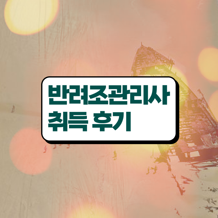 말하는앵무새키우기 , 반려조관리사 자격증 온라인으로 준비한 과정 , 고용 전망