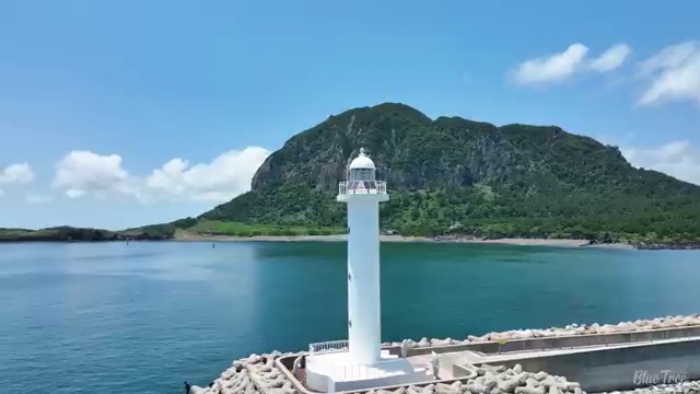  학점은행제 교육기관 , 학은제 멘토 추천받고 목표로하던 대학에 합격했습니다.
