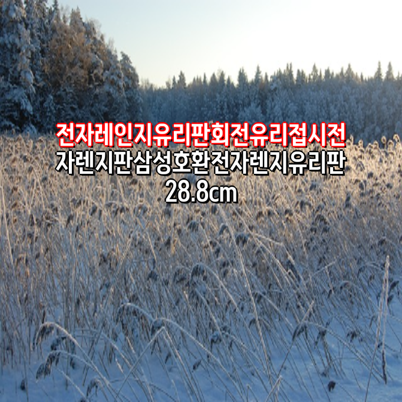 전자레인지 유리판 교체 가이드| 삼성, LG, 대우, 동양매직 호환 24.5cm~28.8cm | 전자레인지 유리....