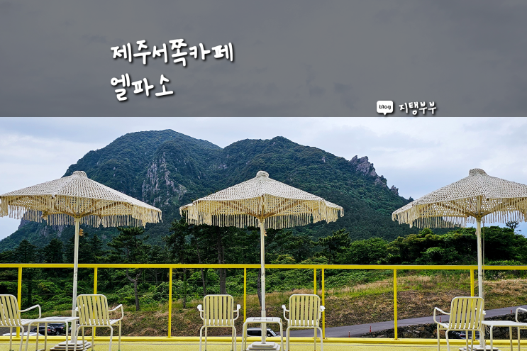  제주서쪽카페 샛노란 레몬 색감이 예쁜 산방산 뷰 카페 엘파소