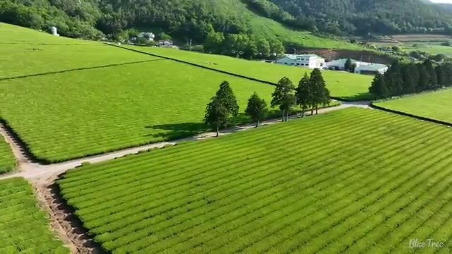  혼자 해외여행 추천 , 여행 전문가 가 정리해드려요 (무료 서비스)