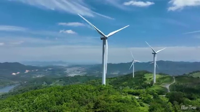  미용자격증 필기 평가 없이 , 미용사자격증 취득하고 창업도 했어요