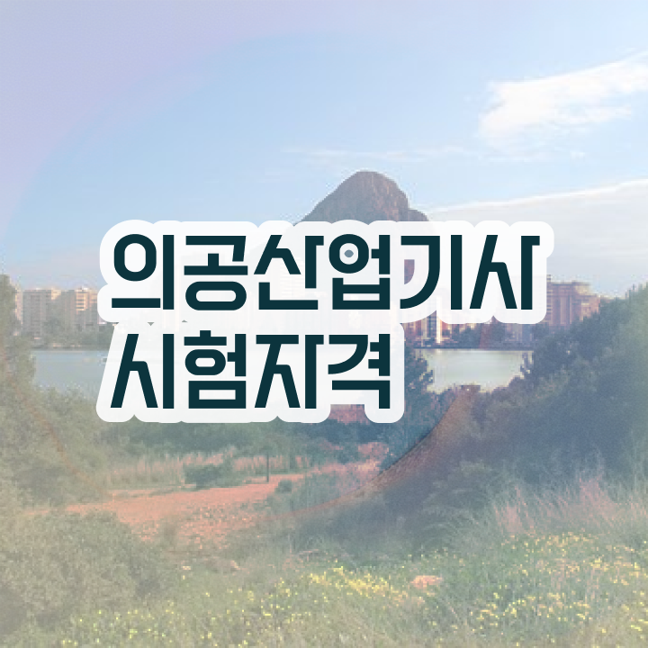  의공산업기사 취득자격 온라인 수업으로 간편하게 완료한 전략