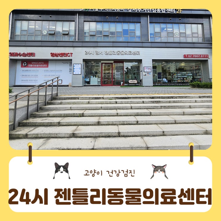  고양이 건강검진 강서구 동물병원 추천 24시젠틀리동물의료센터