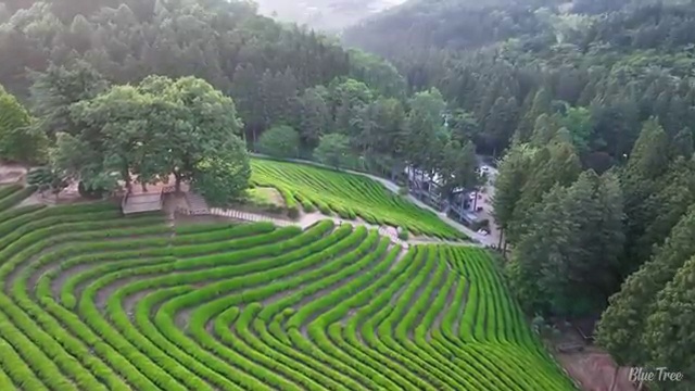  해양조사산업기사 응시자격 온라인 수업으로 1학기 만에 끝낸 후기