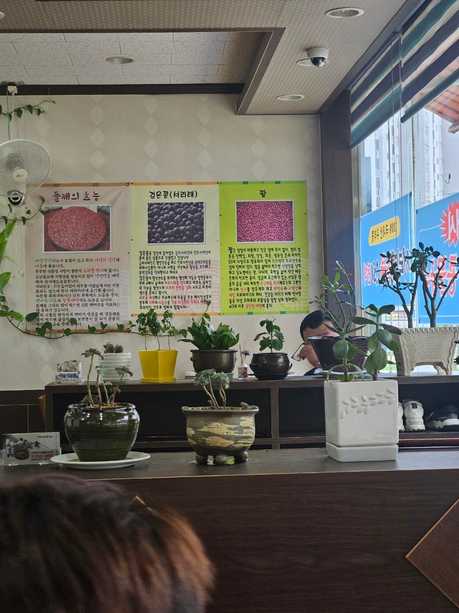수완콩물팥죽 사진 3