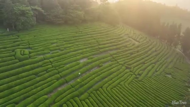  진주 사회복지사2급 연봉 사회복지사2급 고졸도 학점은행제 인강으로 빠르게