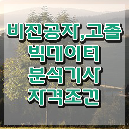  빅데이터분석기사 시험일정 빅데이터분석기사 응시자격 인강만 듣고 15주만에 성공한 후기