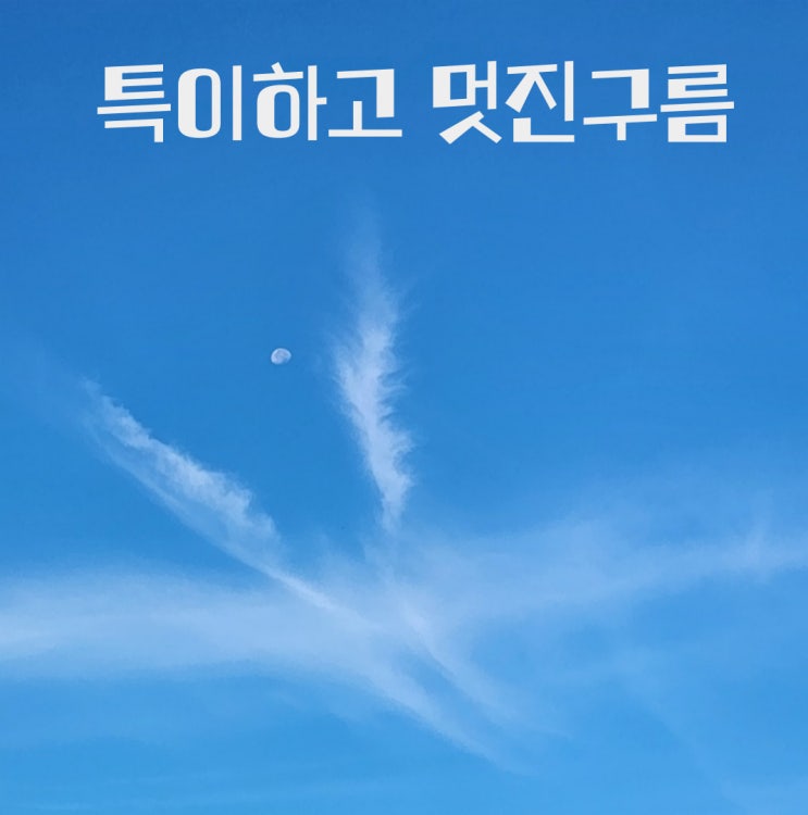  특이하고 멋진 구름