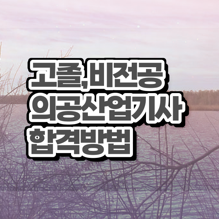  의공산업기사 시험응시자격 집에서 온라인으로 간단하게 성공한 후기