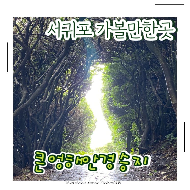  제주 서귀포 가볼만한곳 산책하기 좋은 남원큰엉해안경승지 한반포 포토존