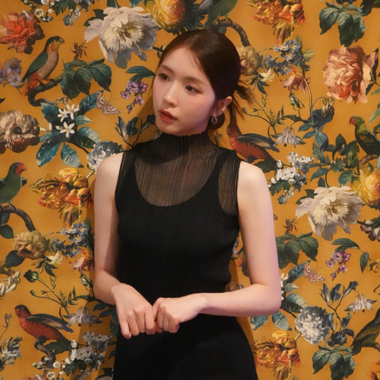  성해은 여성미 넘치는 시스루 블랙 원피스 드레스 정보