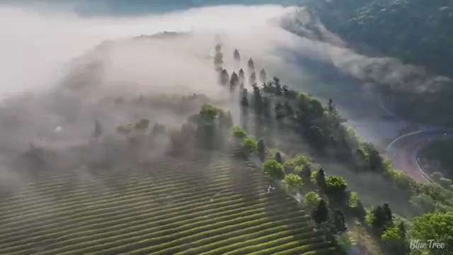  해외가족여행 준비해야 한다면 , 여행 전문가 가 무료로 도와드립니다. (무료 서비스)