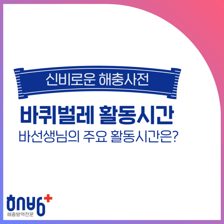  바퀴벌레 활동 시간, 언제 가장 활발하게 움직일까요?