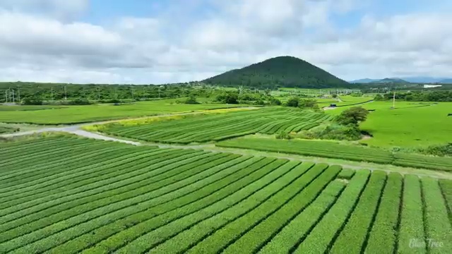  울산 사회복지사국비지원 ? 사회복지사2급 고졸자도 학은제 활용하여 수월하게