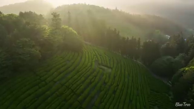  강릉 사회복지사합격률 . 사회복지사2급 고졸자도 학점은행제로 손쉽게