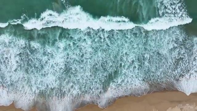  순천 사회복지사자격증관리 ~ 사회복지사2급 조건이 안돼도 온라인으로 손쉽게