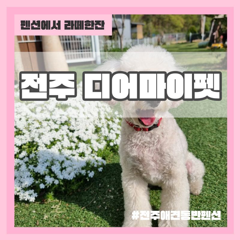사진 12