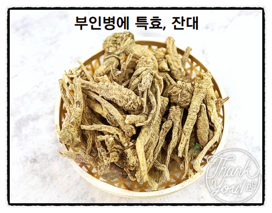  잔대효능 부인병에 특효