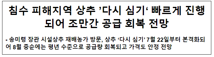 침수 피해지역 상추 ‘다시 심기’ 빠르게 진행되어 조만간 공급 회복 전망 침수 피해지역 상추 ‘다시 심기’ 빠르게 진행되어 조만간 공급 회복 전망