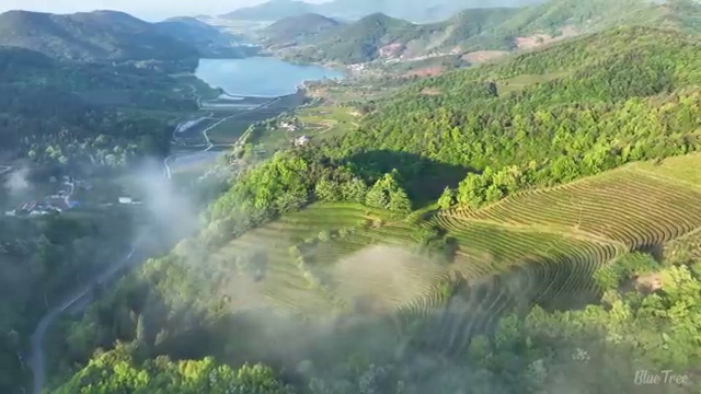  청주 사회복지1급자격증 사회복지사2급 중년 직장인도 독학으로 빠르게