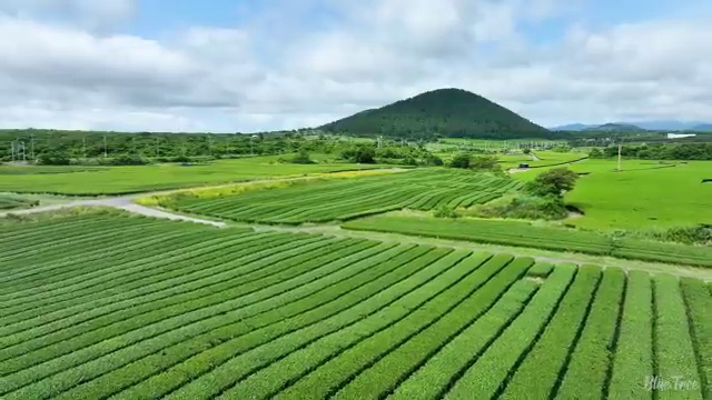  반영구 화장 , 눈썹 반영구 오픈 자격증 취득 방법 및 꼭 확인해야하는 사항 순서대로 소개드려요