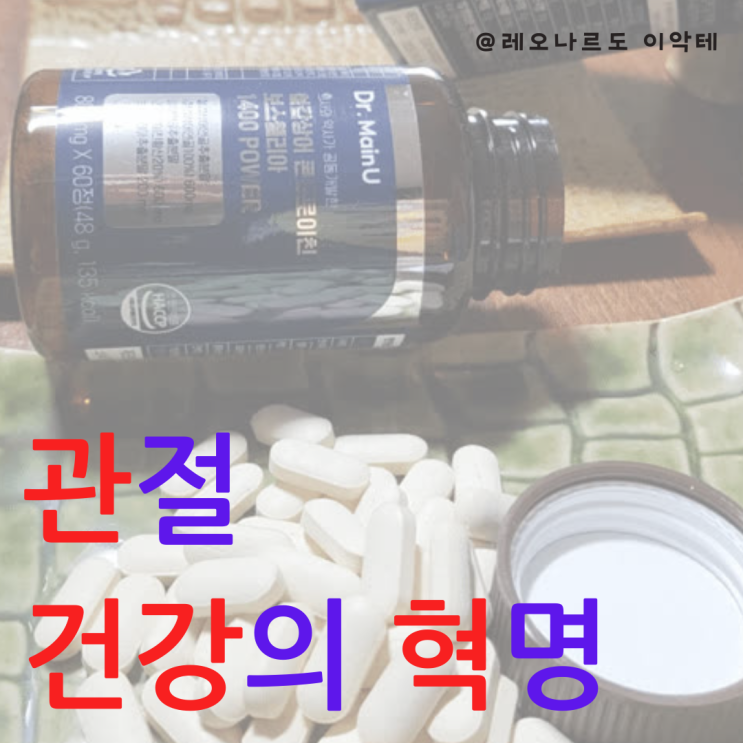  관절 건강의 혁명 닥터메인유 철갑상어 콘드로이친 보스웰리아 1400 파워 사용 후기