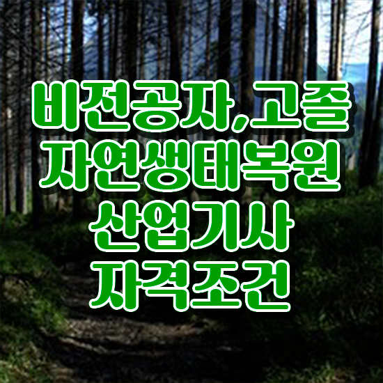  자연생태복원산업기사 시험응시조건 온라인으로 5개월 만에 준비한 비법
