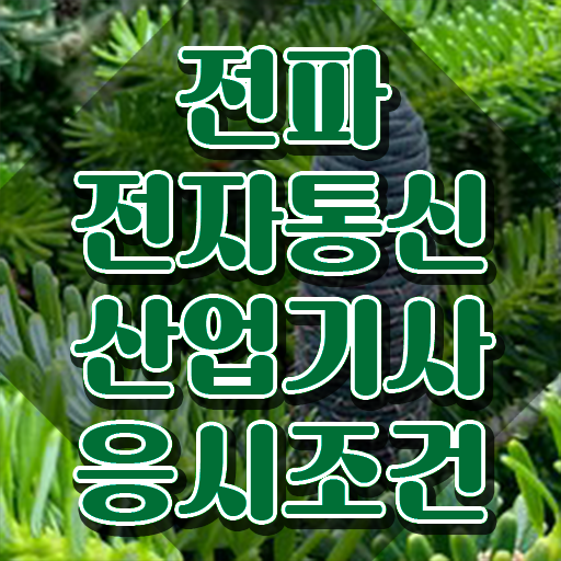  전파전자통신산업기사 시험응시조건 온라인으로 5개월 만에 성공한 과정